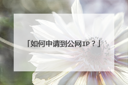 如何申请到公网IP?