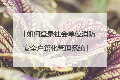 如何登录社会单位消防安全户籍化管理系统
