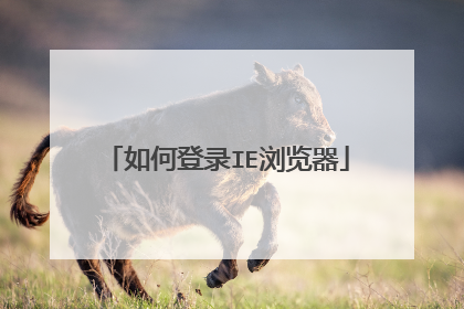 如何登录IE浏览器