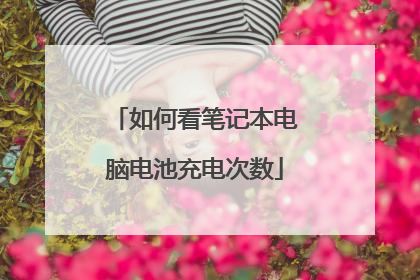 如何看笔记本电脑电池充电次数