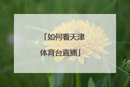 如何看天津体育台直播