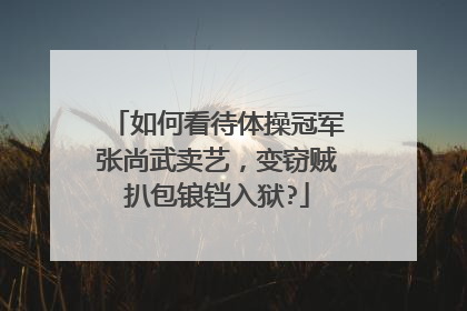 如何看待体操冠军张尚武卖艺，变窃贼扒包锒铛入狱?