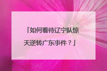 如何看待辽宁队惊天逆转广东事件？
