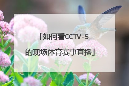如何看CCTV-5的现场体育赛事直播