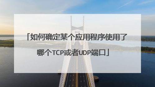 如何确定某个应用程序使用了哪个TCP或者UDP端口