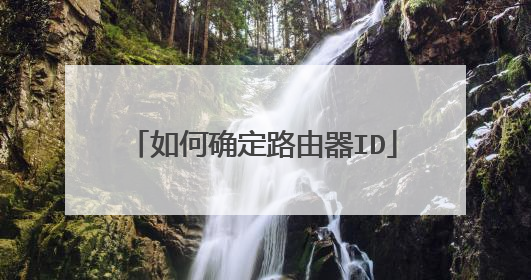如何确定路由器ID