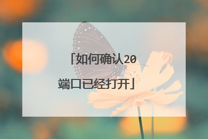 如何确认20端口已经打开