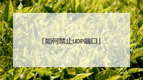 如何禁止UDP端口