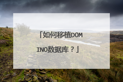如何移植DOMINO数据库?
