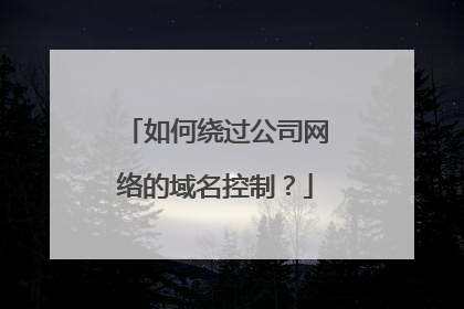 如何绕过公司网络的域名控制？