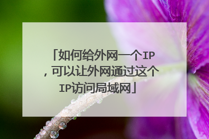 如何给外网一个IP,可以让外网通过这个IP访问局域网