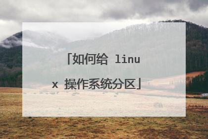 如何给 linux 操作系统分区