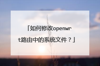 如何修改openwrt路由中的系统文件？