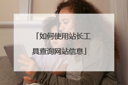如何使用站长工具查询网站信息