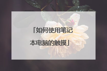 如何使用笔记本电脑的触摸