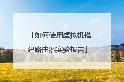 如何使用虚拟机搭建路由器实验报告