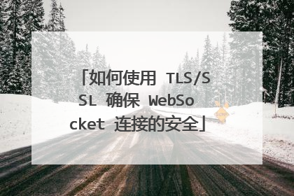 如何使用 TLS/SSL 确保 WebSocket 连接的安全