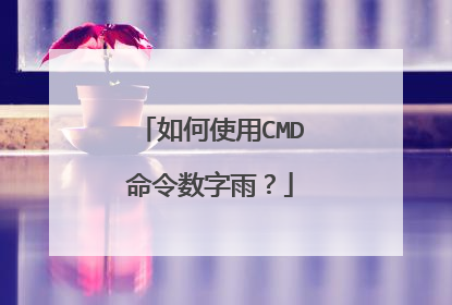 如何使用CMD命令数字雨?