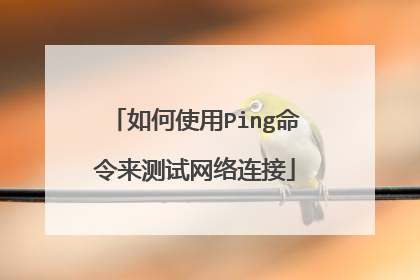 如何使用Ping命令来测试网络连接