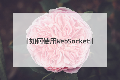 如何使用WebSocket