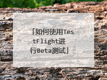 如何使用TestFlight进行Beta测试