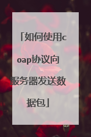 如何使用coap协议向服务器发送数据包