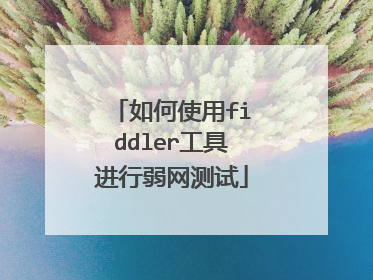 如何使用fiddler工具进行弱网测试