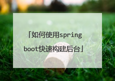 如何使用spring boot快速构建后台