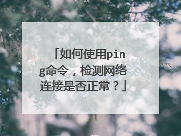 如何使用ping命令，检测网络连接是否正常？