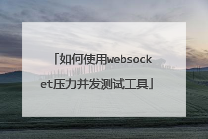 如何使用websocket压力并发测试工具
