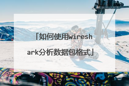 如何使用wireshark分析数据包格式