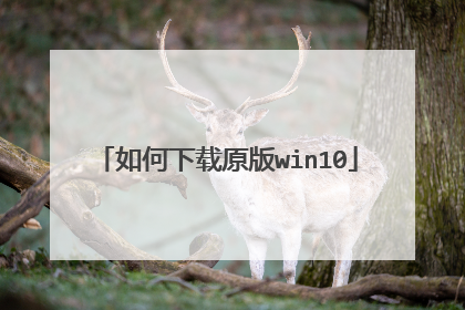 如何下载原版win10