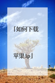 如何下载苹果ip