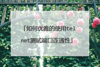 如何优雅的使用telnet测试端口连通性