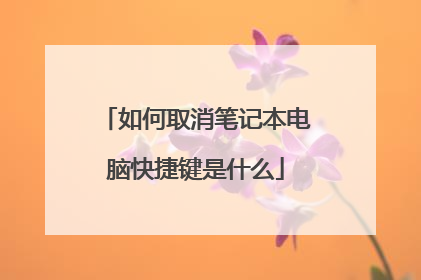 如何取消笔记本电脑快捷键是什么