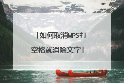 如何取消WPS打空格就消除文字