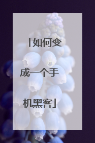 如何变成一个手机黑客