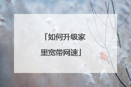 如何升级家里宽带网速