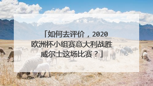 如何去评价,2020欧洲杯小组赛意大利战胜威尔士这场比赛?