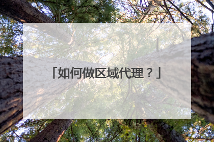 如何做区域代理？
