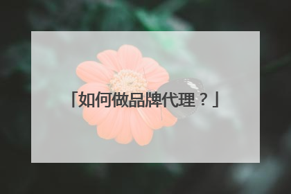 如何做品牌代理？