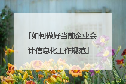 如何做好当前企业会计信息化工作规范