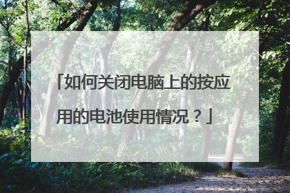 如何关闭电脑上的按应用的电池使用情况？