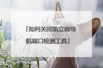 如何关闭凯立德导航端口检测工具