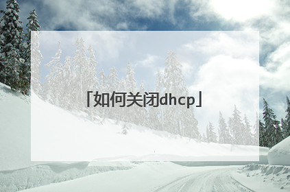 如何关闭dhcp