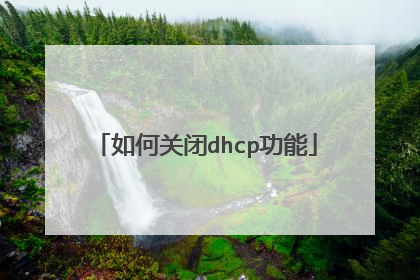 如何关闭dhcp功能