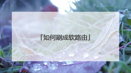 如何刷成软路由