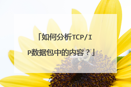 如何分析TCP/IP数据包中的内容？