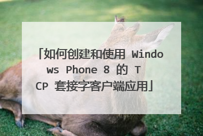 如何创建和使用 Windows Phone 8 的 TCP 套接字客户端应用
