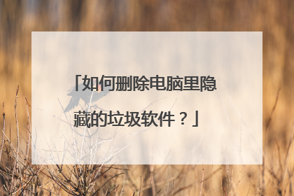 如何删除电脑里隐藏的垃圾软件?